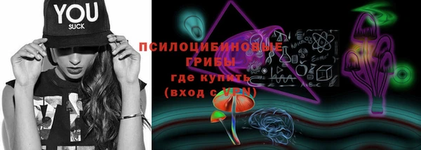эйфоретик Алексин
