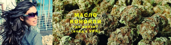 индика Протвино