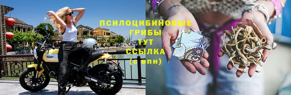 эйфоретик Алексин